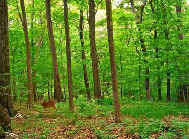 会养花的人可以从事哪方面的工作
