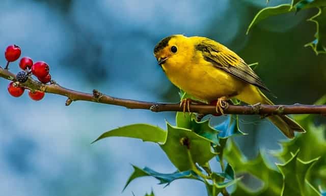 口才公众号功能介绍