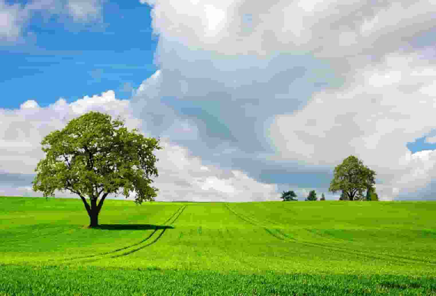 高考志愿学校怎么选专业