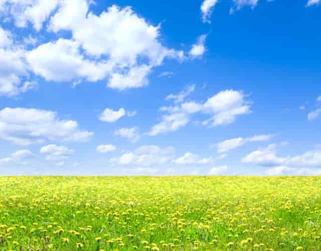 以色列导弹最新信息