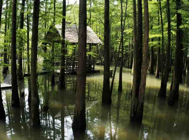 杏仁优护：老年人糖尿病有哪些并发症？