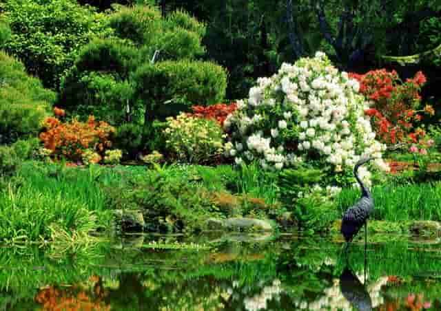 袖虎提醒小心网购宠物骗局！