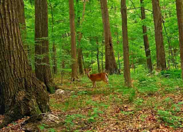 新冠高风险工作