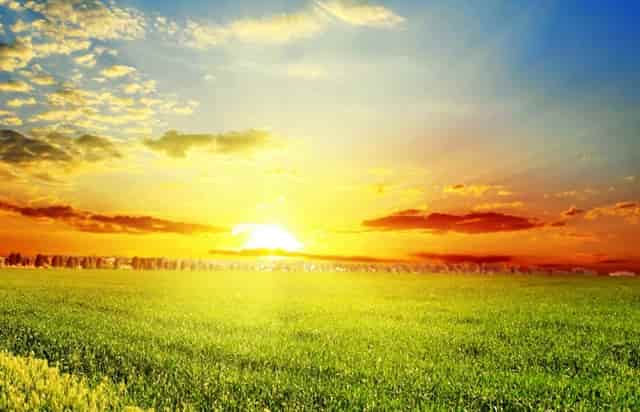 高考志愿学校怎么选专业