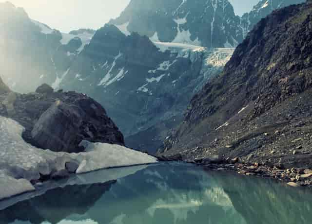 袖虎的问题，你做好收养流浪狗的准备了吗？