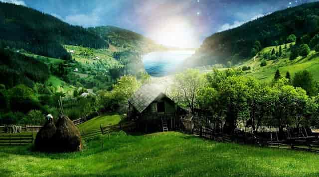 什么样的女人是优雅的人