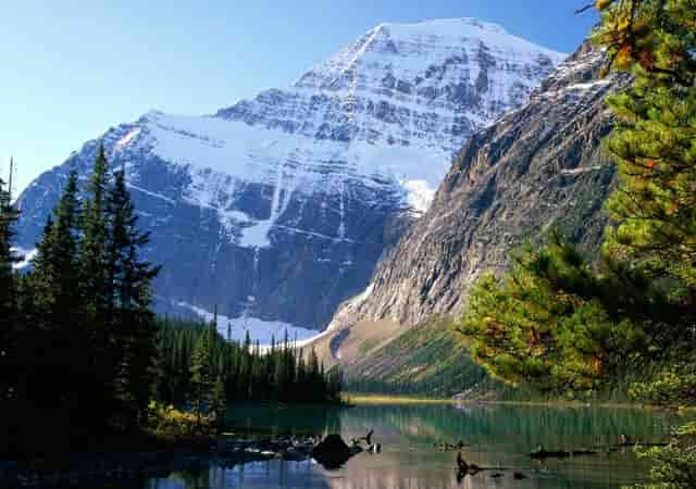 国际禁毒日活动社区活动