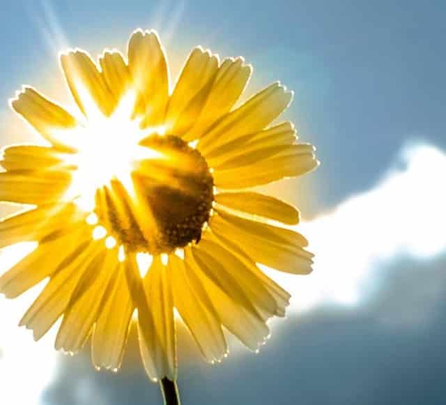 做家务的全过程视频