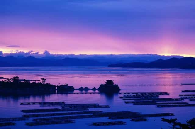 理想汽车事故视频