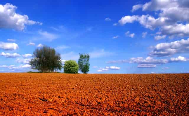 袖虎病猫攻略：猫常见疾病及预防