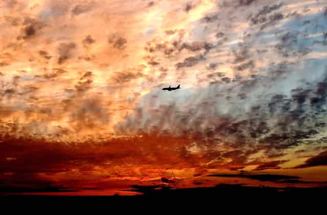 袖虎揭秘：病猫病狗也可能是过敏的吗？