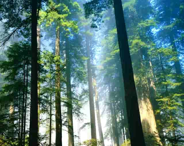 知乎携手京东、品牌商家，共创 11.11 家电家居消费指南