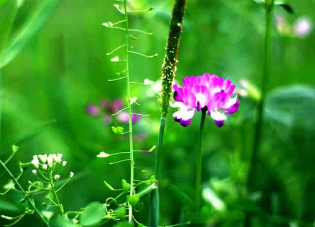 酌古沿津探滦水，扬帆起航新征程