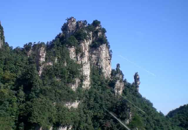 蔡嘉珍成功註冊理財規劃師，邁出專業領域新里程碑