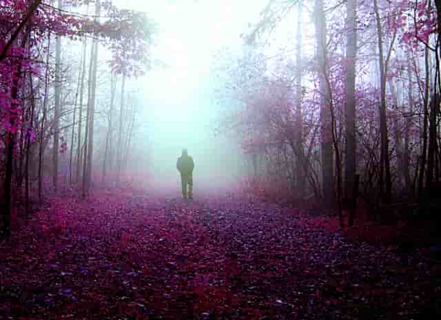 掌上世界杯火热来袭 枞横世界杯预测锦标赛进行中