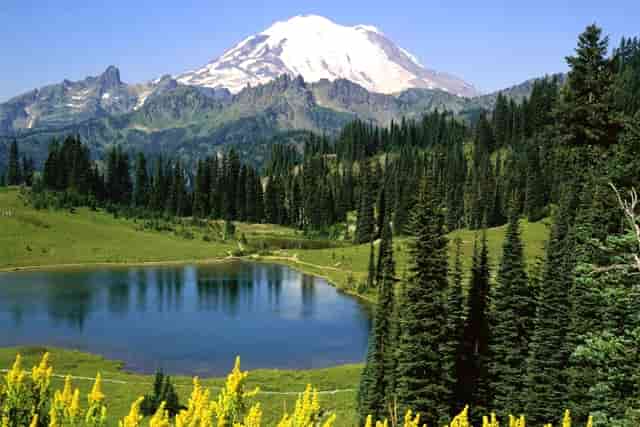 科技创新也在发挥作用(发挥企业在科技创新中的主体作用)