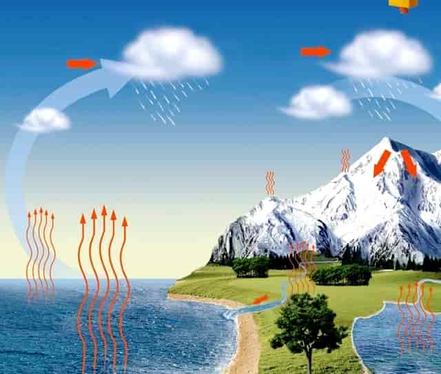 左肺及右肺中下叶小结节