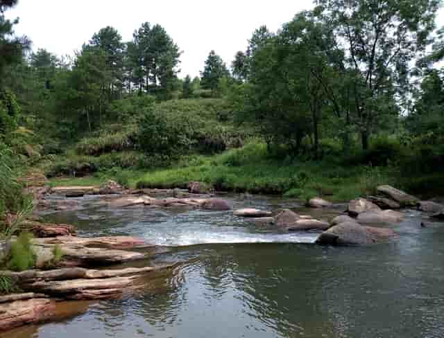 新冠疫苗工作小组