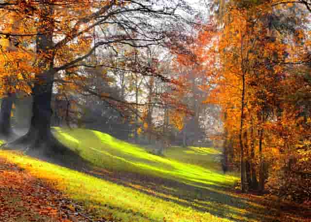 热火凑不齐8人出赛大名单 今天对阵绿军被推迟