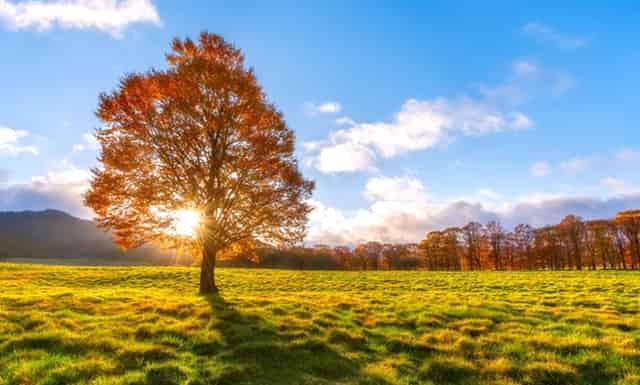 一针疫苗是哪里