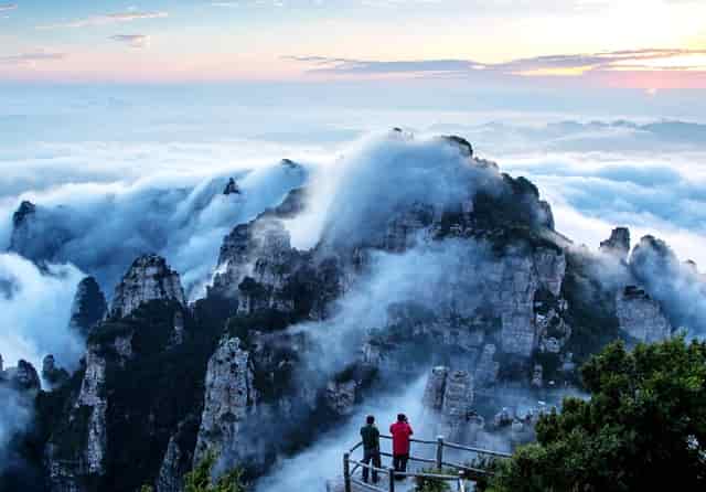 学点“猫咪心理学”，袖虎很靠谱