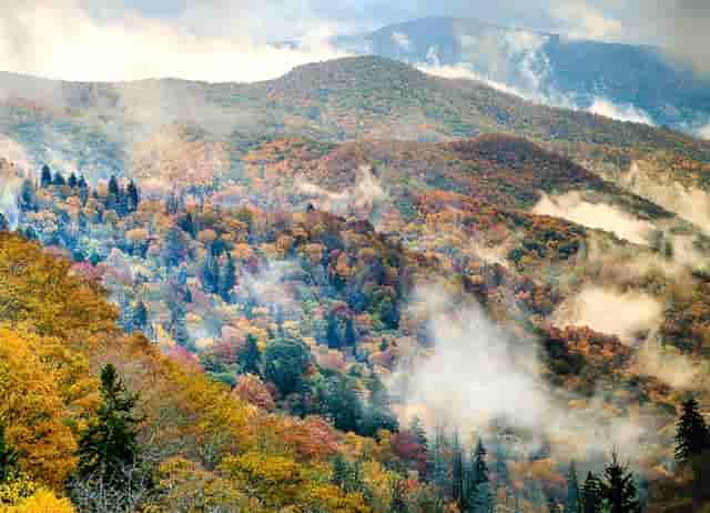 牙疼也是病，袖虎提醒这病会要命