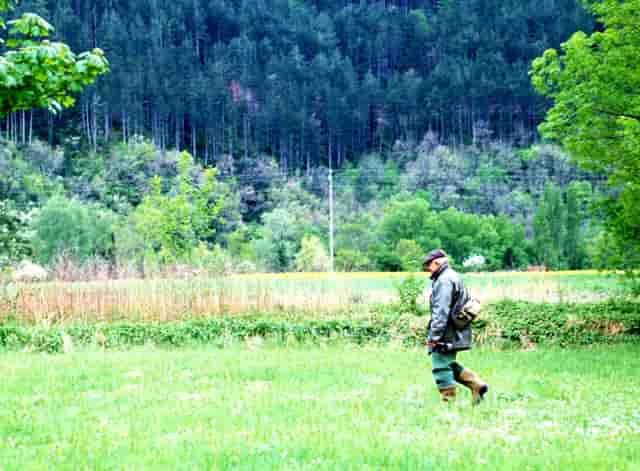 发霉的霉斑是什么(鱼缸有黑色霉斑是什么)