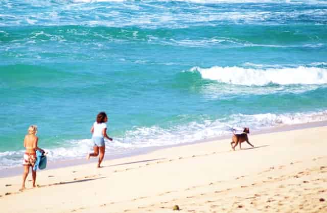 口才公众号功能介绍