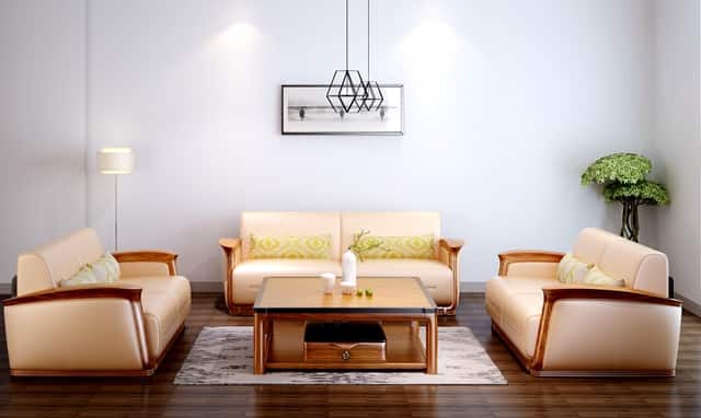 袖虎病猫攻略：对猫过敏怎么办