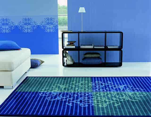 淀粉消化经过的部位