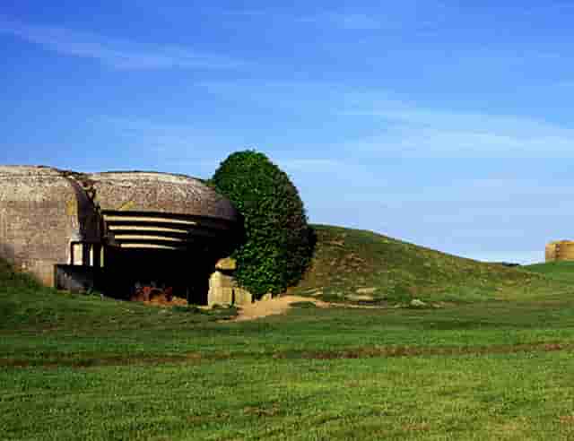 时尚穿衣服的技巧(关于穿衣服的时尚语句)