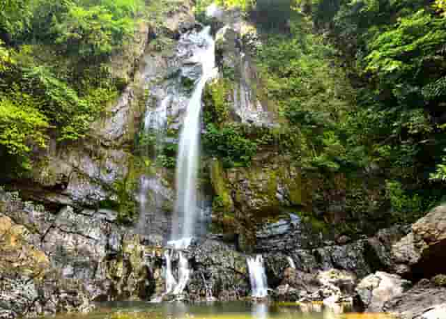 培养公山羊怎么选(公母山羊怎么分别)