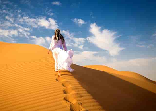 华为手机系列最新发布会(华为手机最新发布会时间)