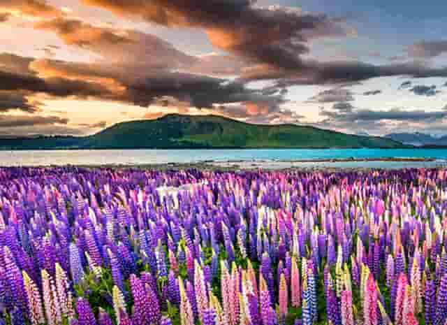 修路路口电子眼(修路期间电子眼抓拍了怎么办)