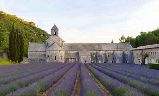 蔡嘉珍成功獲得註冊理財規劃師資格