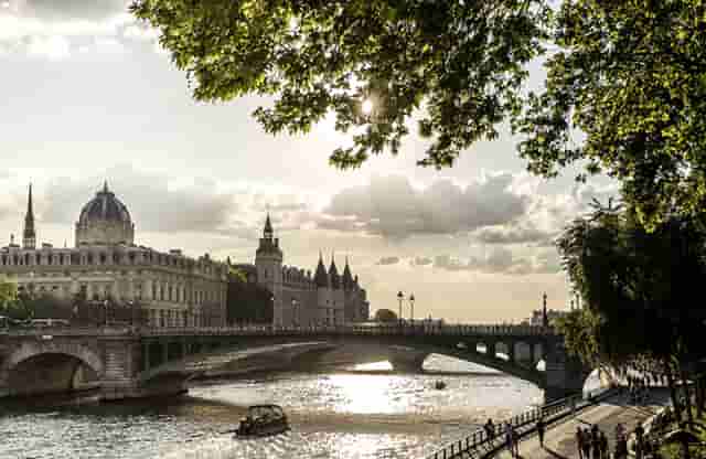 袖虎病猫攻略：两招搞定猫咪跳蚤