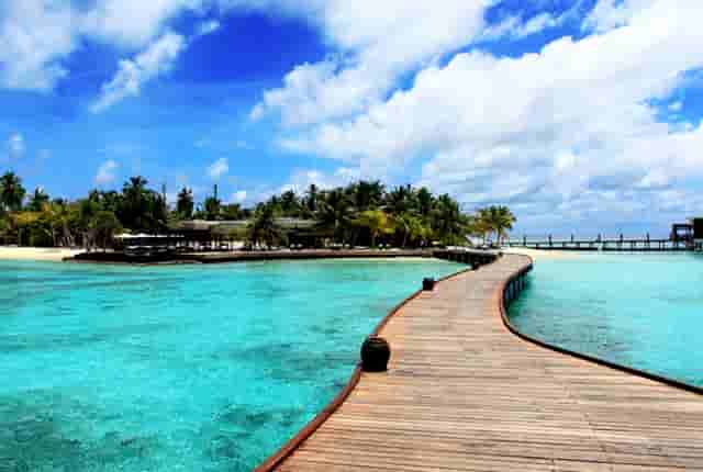 袖虎病狗攻略：眼泪汪汪的贵宾，小心得病