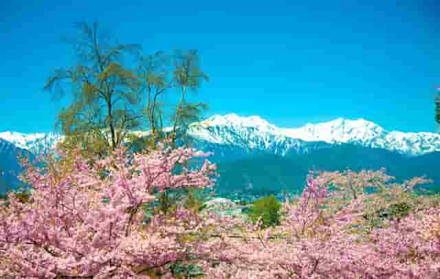 服装搭配女时尚技巧(夏季服装的时尚搭配)