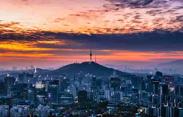 袖虎病猫攻略：猫总挠耳朵甩头，可能是这个东西作怪