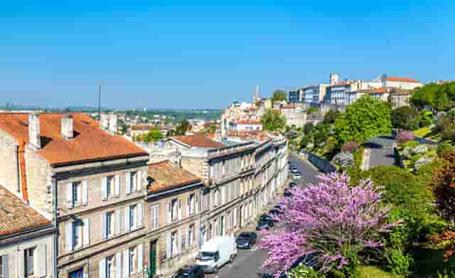 袖虎病猫攻略：人吃的药能喂猫吗？