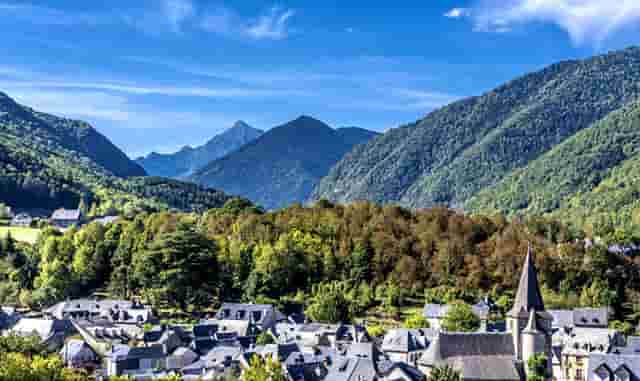 袖虎病狗攻略：狗狗喂食要注意，这几大误区可别沾