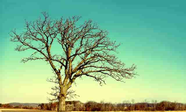 时尚技巧微博(时尚潮姐微博)