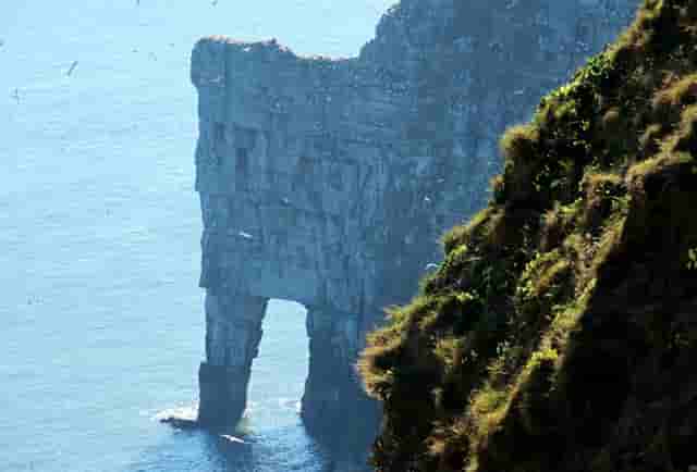 迈科期货亏损骗局？迈科教您如何截断亏损让利润奔跑！