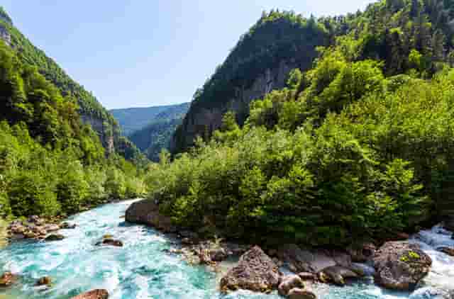 袖虎病猫攻略：小猫总是拉肚子，原因可能是它