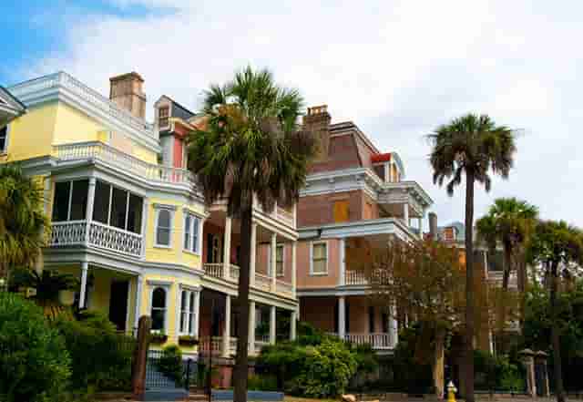 袖虎病狗攻略：狗发烧怎么办