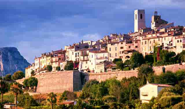 袖虎病猫攻略：猫咪腹泻的处理方法