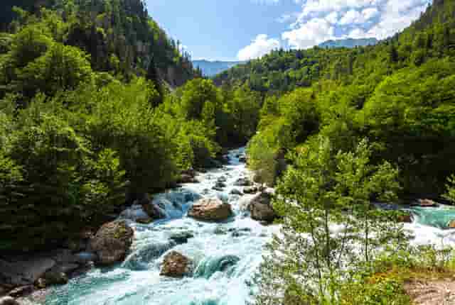 袖虎病猫攻略：猫剃毛有哪些坑