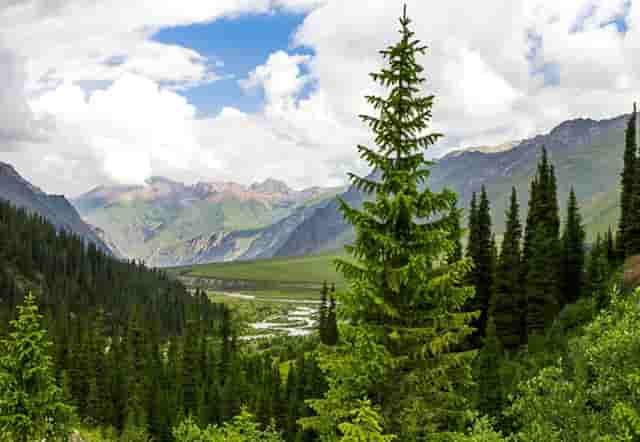 二婚的女人比较不主动(二婚女人为什么不主动联系你)