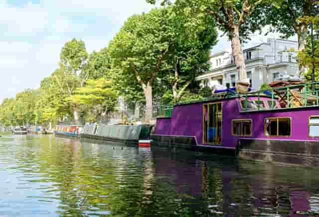 袖虎加盟故事：卖猫骗局