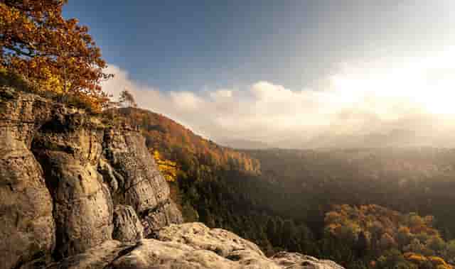 抓住加盟新机遇！袖虎宠物带你了解新的宠物消费环境！